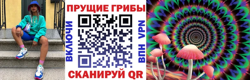 где продают наркотики  Карпинск  Псилоцибиновые грибы прущие грибы 